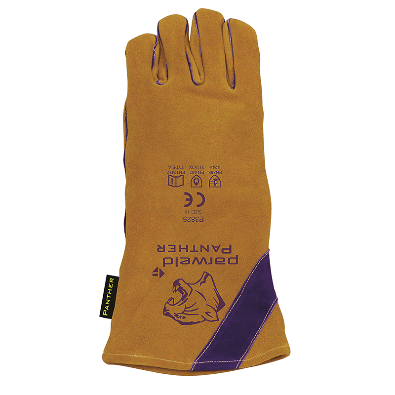 P3825 Back