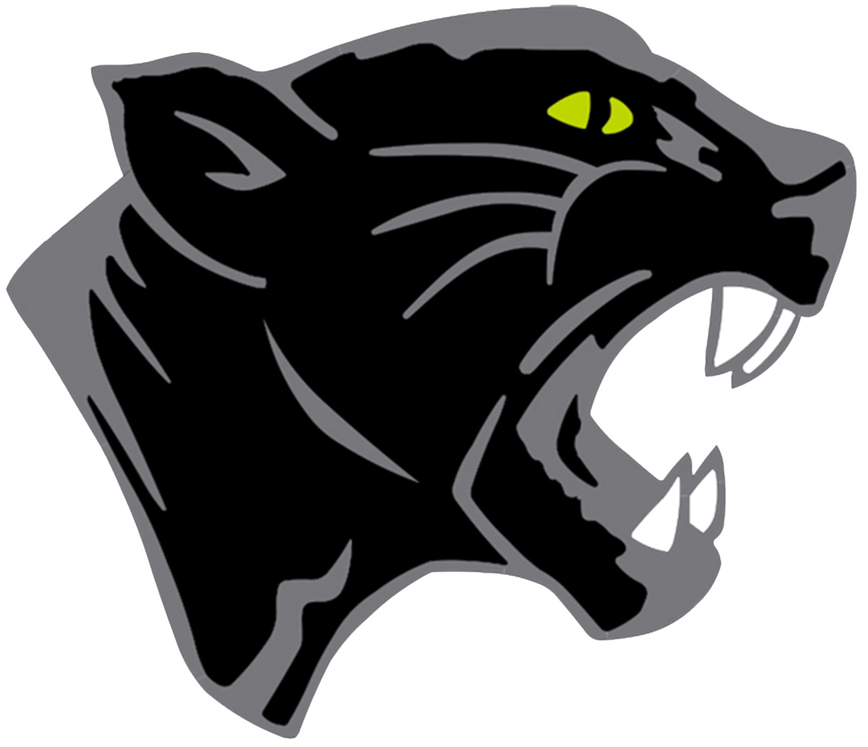 Parweld Panther PPE