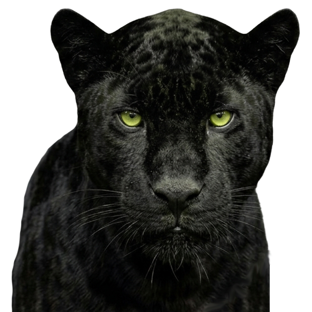 Parweld Panther PPE