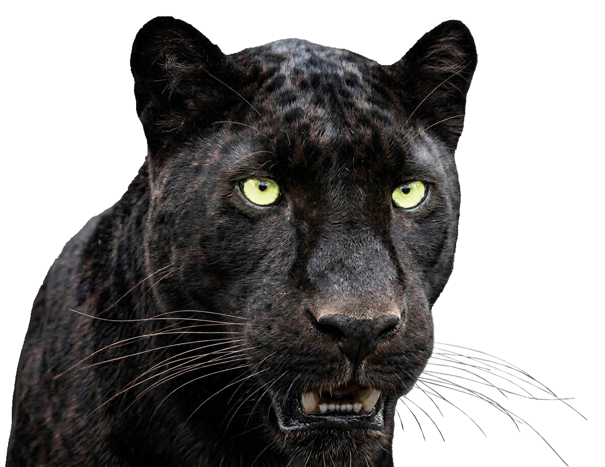 Parweld Panther PRO